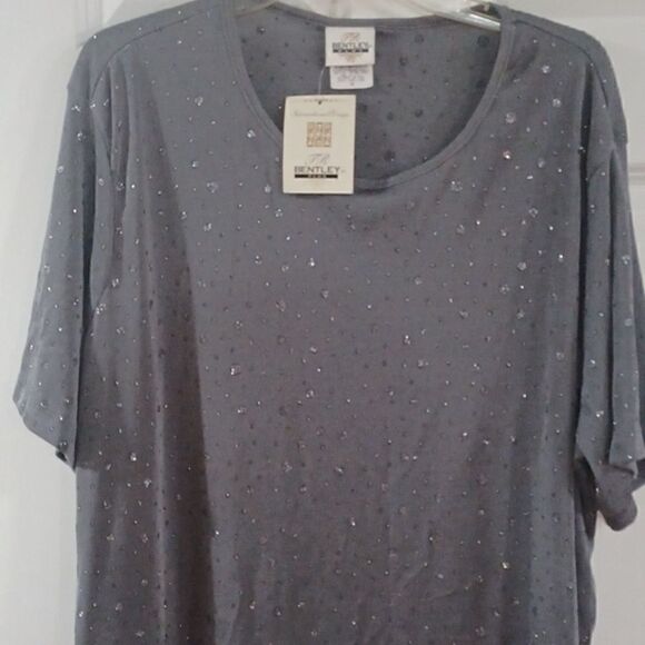 Silver Sparkle Top  - Picture 2 of 7